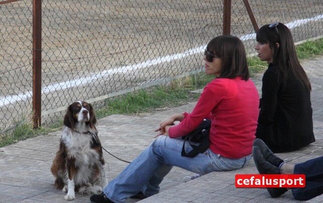 101016_campof_castell 080y_tn.jpg